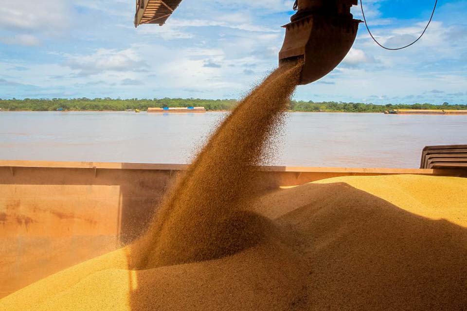Agronegócio avançou com investimentos do Governo de Rondônia; valor Bruto da Produção Agropecuária destaca culturas: soja, milho, café e bovinos