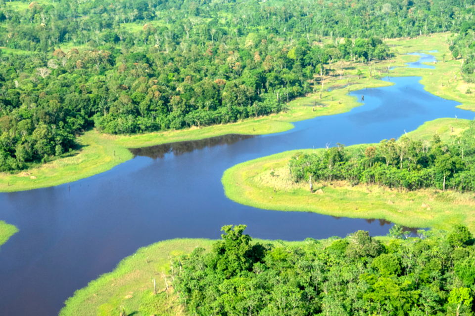 TCE debate unidades de conservação em evento nacional no MP em Rondônia