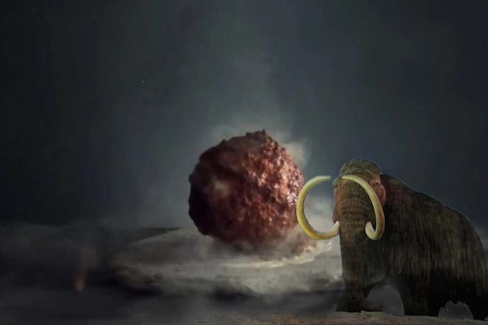 Cientistas criam em laboratório almôndega de carne de mamute