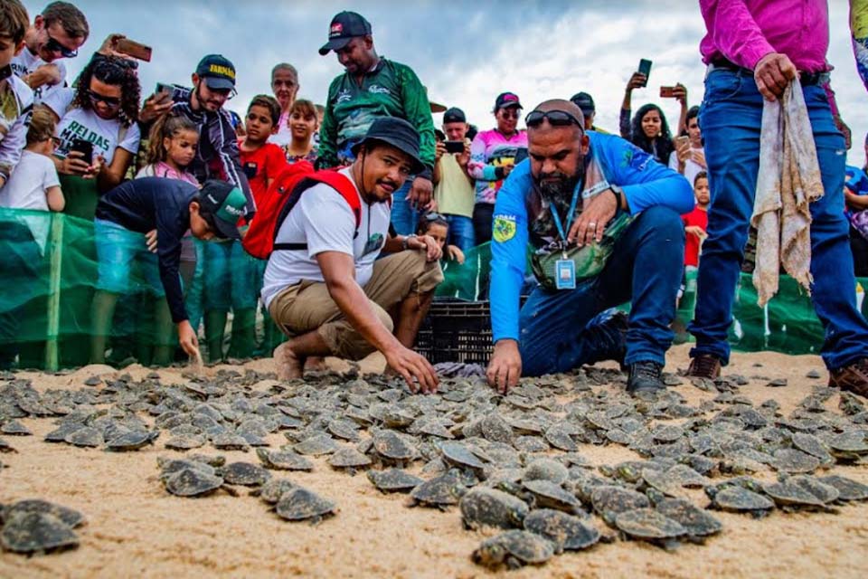 Energisa apoia a soltura de filhotes de tartarugas no rio Guaporé