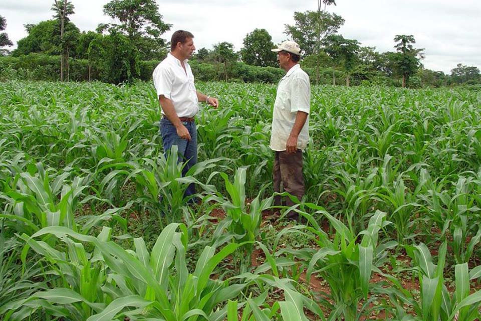 Rondônia : produtores rurais e trabalhadores do campo também devem se proteger do Coronavírus 