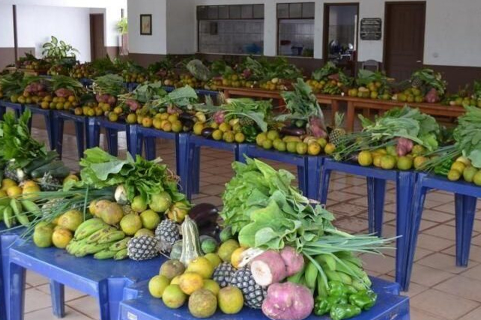 Prefeitura anuncia compra de mais de 300 mil reais de produtos da agricultura familiar no PAA municipal