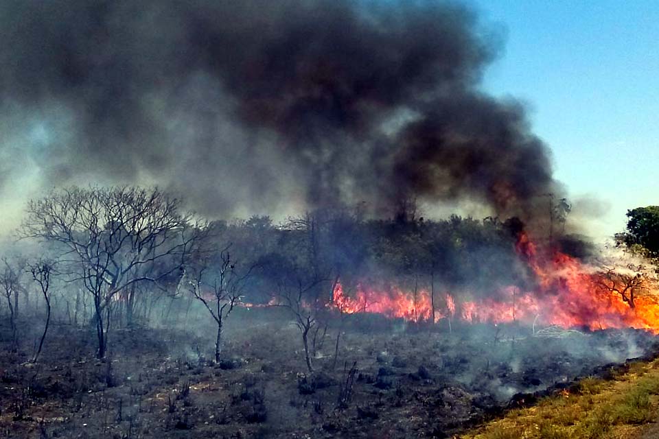 Incêndio de grandes proporções atinge Parque de Ibitipoca, em Minas