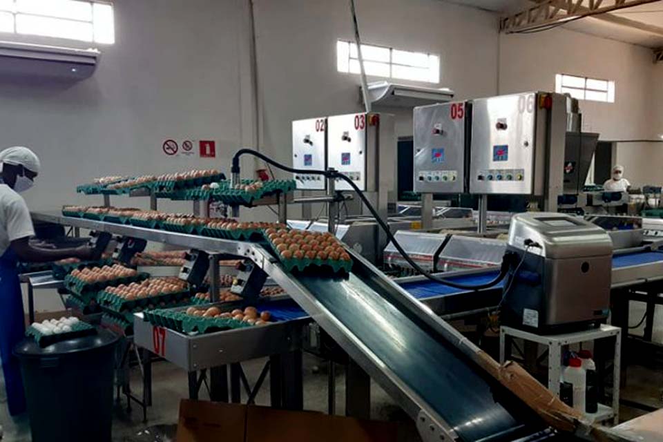 Incentivo do Governo de Rondônia fortalece produção de ovos 