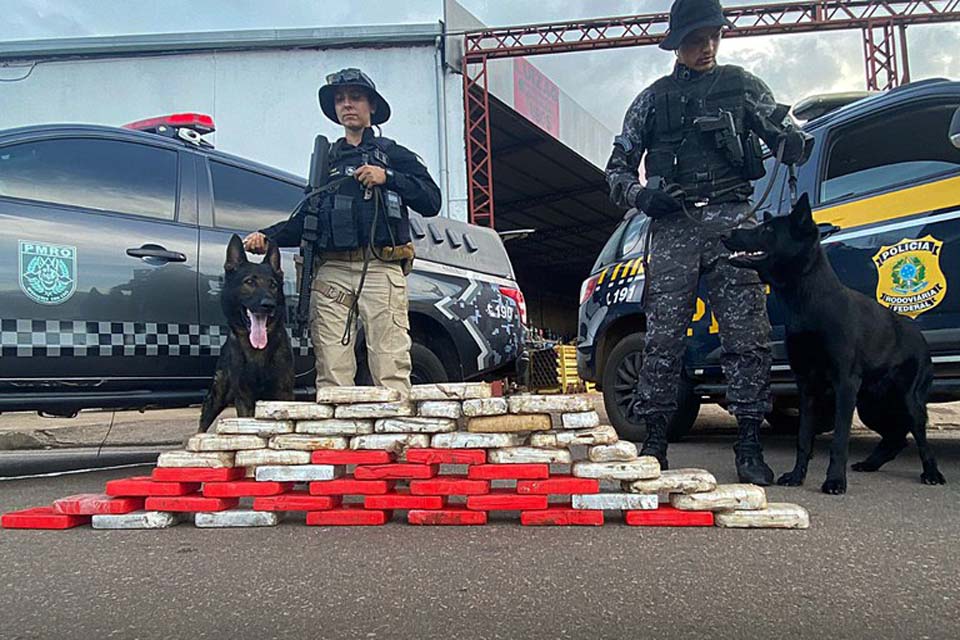 Operação Conjunta apreende 49 kg de Cocaína na BR 364 em Porto Velho