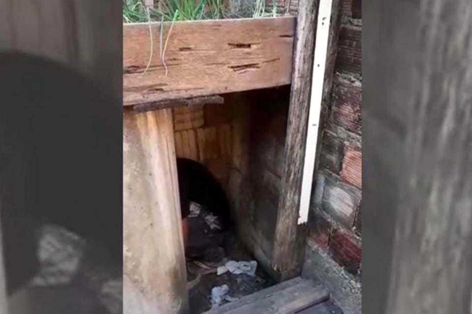 Policial militar encontra foragido escondido em casinha do cachorro
