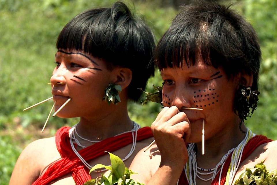 Dados do Censo 2022 mostra que Brasil tem 1,69 milhão de indígenas