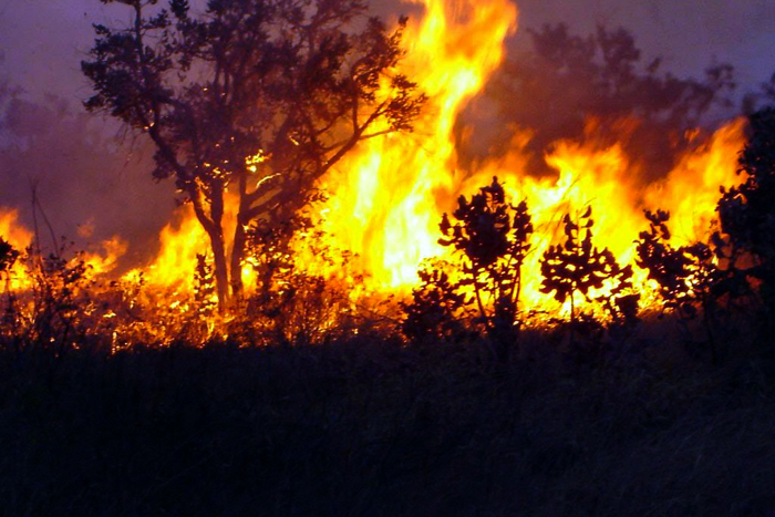  Focos de queimadas preocupam os governos do Acre, Rondônia, Tocantins, Pará e o Mato Grosso