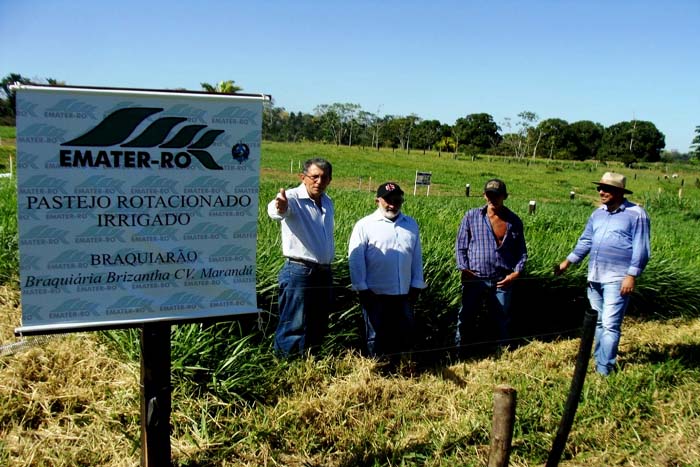 Agricultor de Teixeirópolis quer dobrar produção de leite após participar do Dia de Campo 