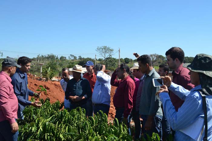 Secretário de Agricultura e Vereadores de Ariquemes visitam viveiro de café clonal 