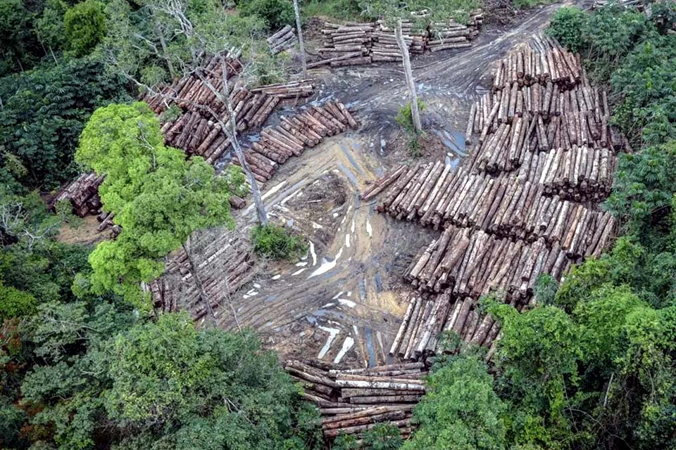 Desmatamento em terras indígenas provocou emissão de CO2 na Amazônia