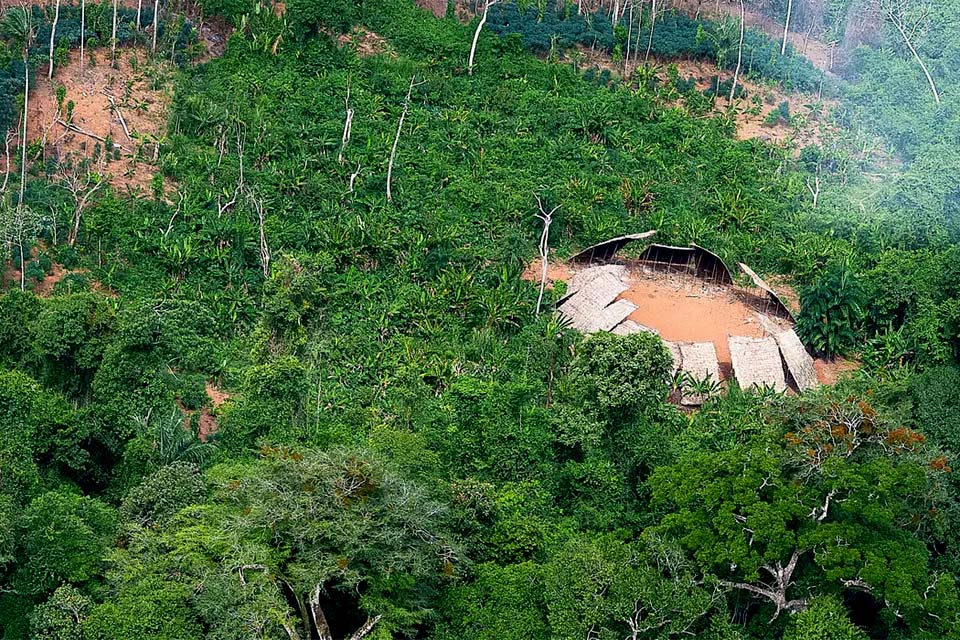 Desmatamento em áreas protegidas da Amazônia cai 73% em 2023, na comparação com 2022
