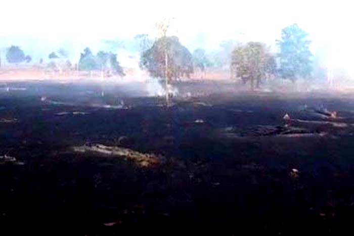 Corpo de Bombeiros combate incêndio que atinge reserva ambiental