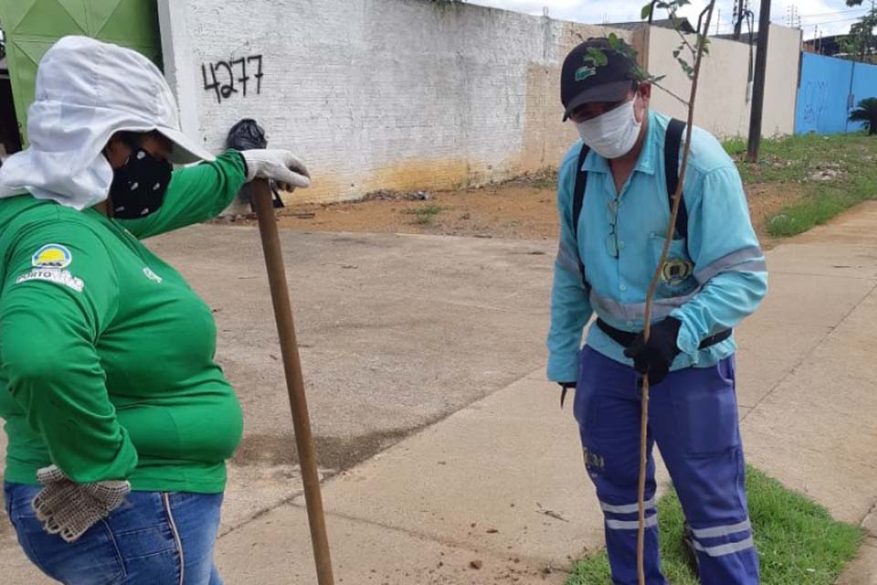 Sema realiza o plantio de mudas de árvores em bairros da zona Leste